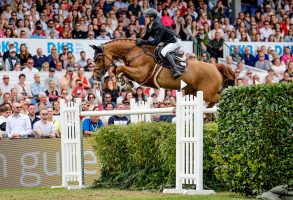 Showjumping news: Marvin Jungel from Germany on "Balou's Erbin", winner of the Hamburg Derby, rides the course during the jump-off