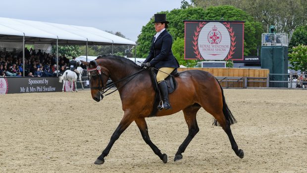 2023 royal windsor horse show