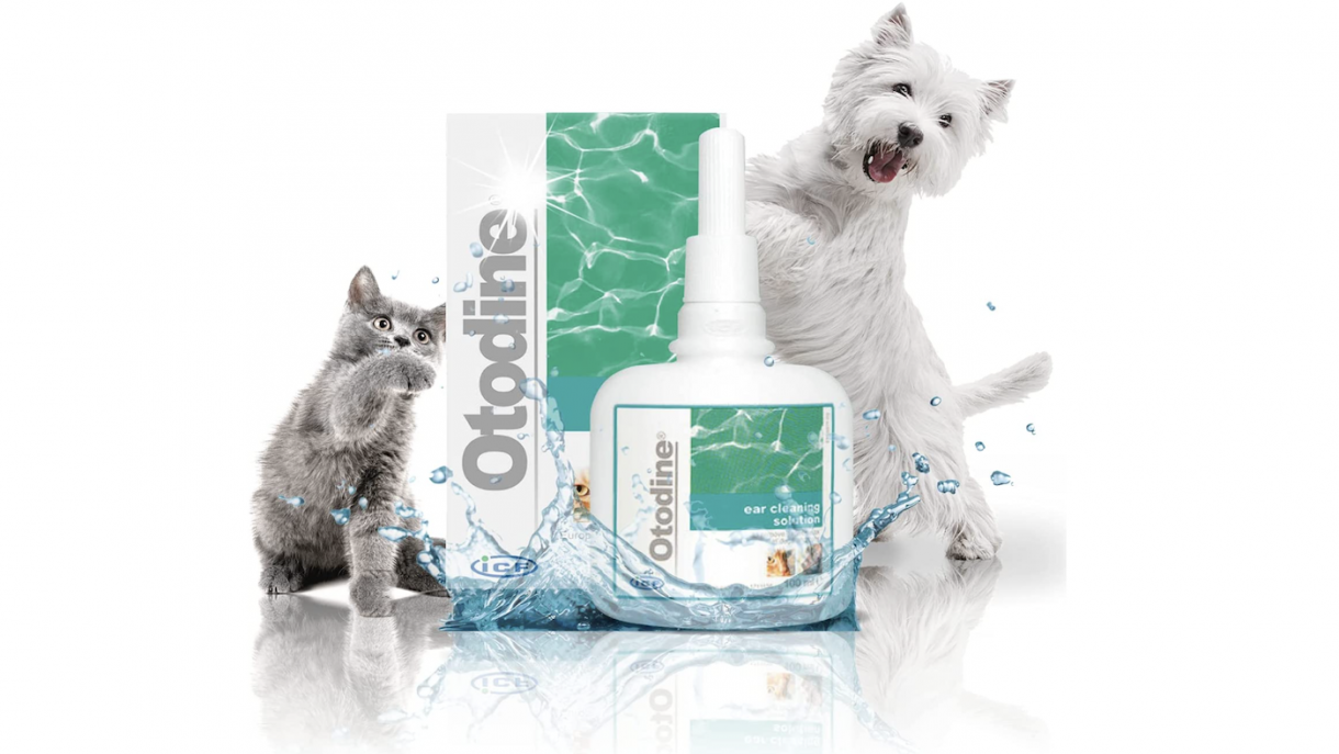 Best dog ear cleaner dissolve wax and dirt and keep infections at bay