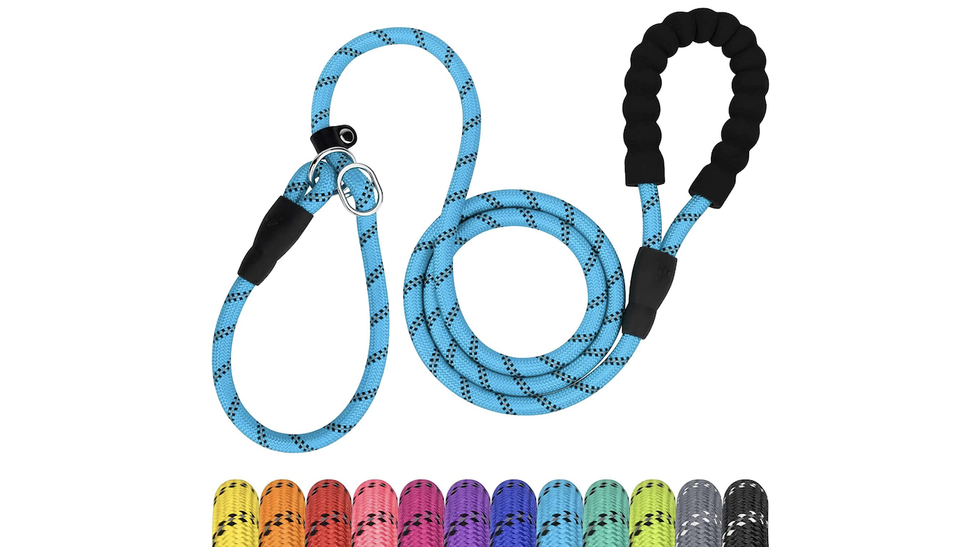 TagME slip dog training lead