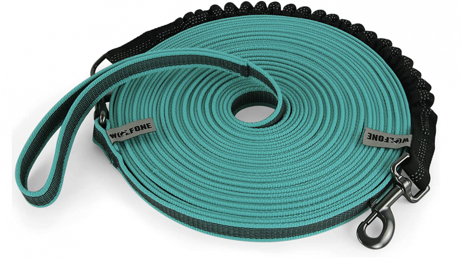 Best dog training leads to teach your pup obedience, heel work and recall