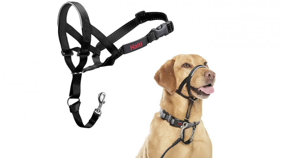 Best dog training collars antibark, antipull and general obedience