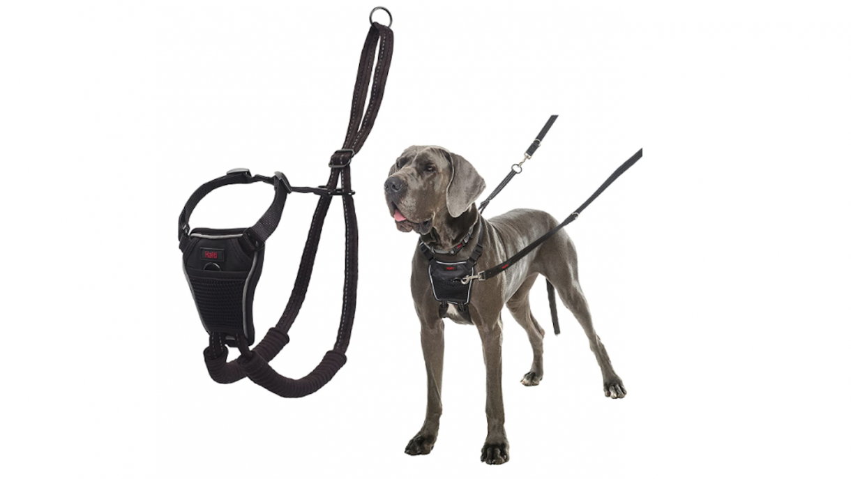 Best dog harness for pulling control without choking