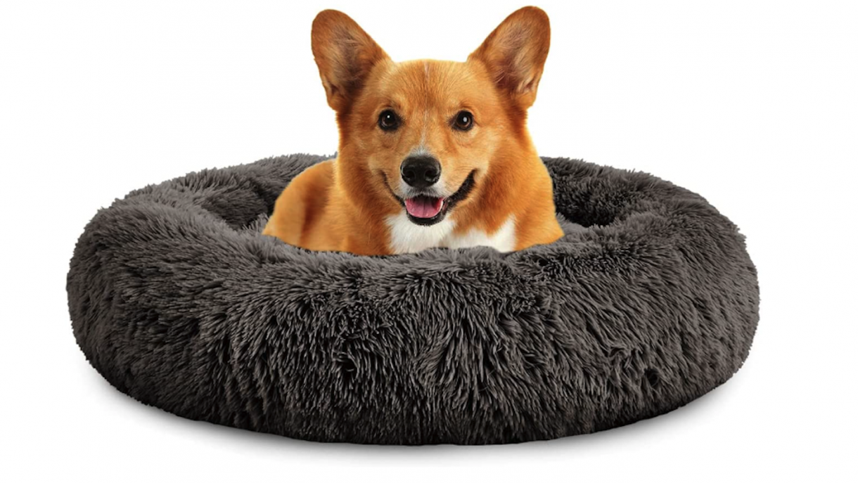 Best donut dog beds with high sides for comfort and cosiness