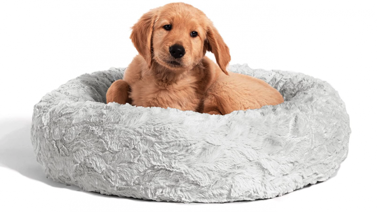 Best donut dog beds with high sides for comfort and cosiness