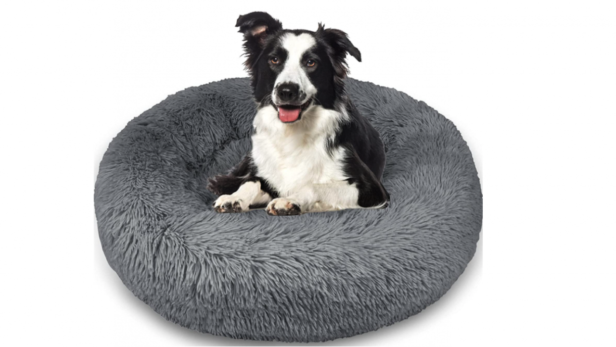 Best donut dog beds with high sides for comfort and cosiness