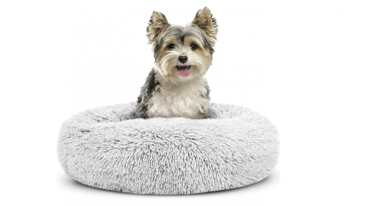 Best donut dog beds with high sides for comfort and cosiness
