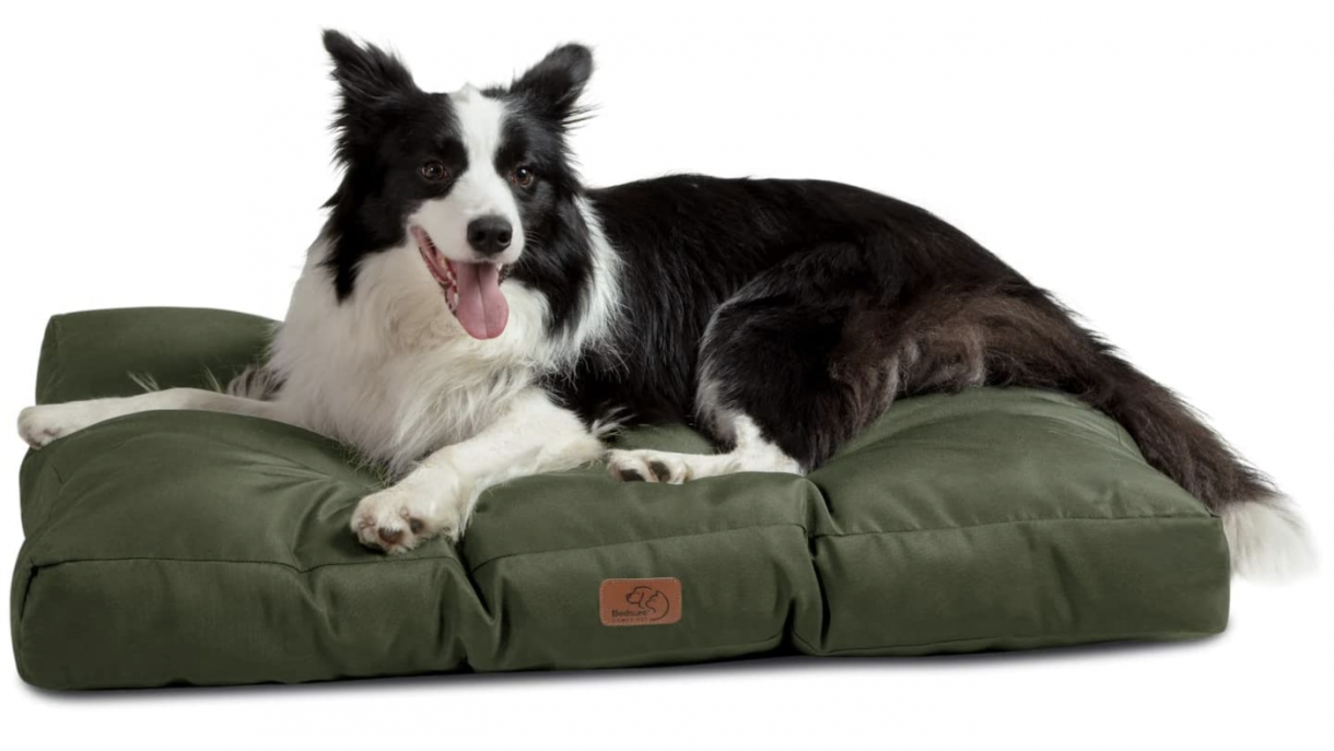 Best waterproof dog bed for wet, muddy and incontinent dogs