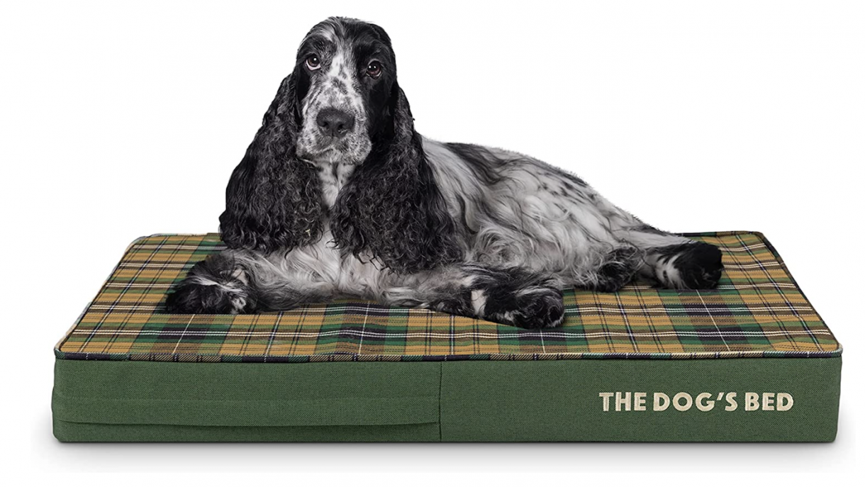 Best waterproof dog bed for wet, muddy and incontinent dogs