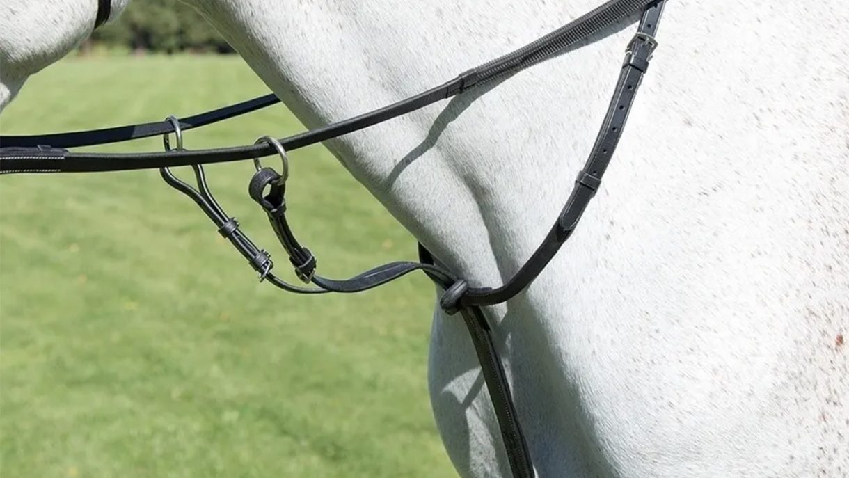 Best martingales for horses and how to fit them Horse & Hound