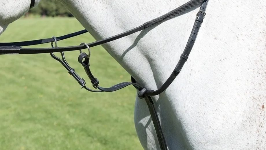Best martingales for horses and how to fit them Horse & Hound