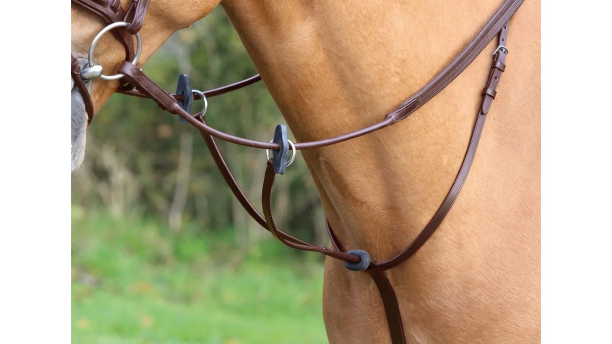 Best martingales for horses and how to fit them Horse & Hound