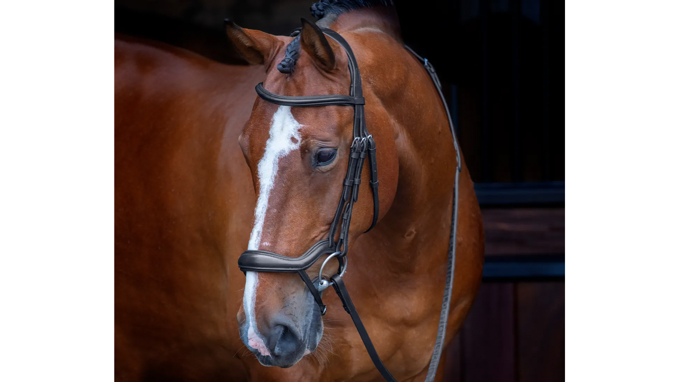 Shires Velociti Rapida Ergonomical Flash Bridle