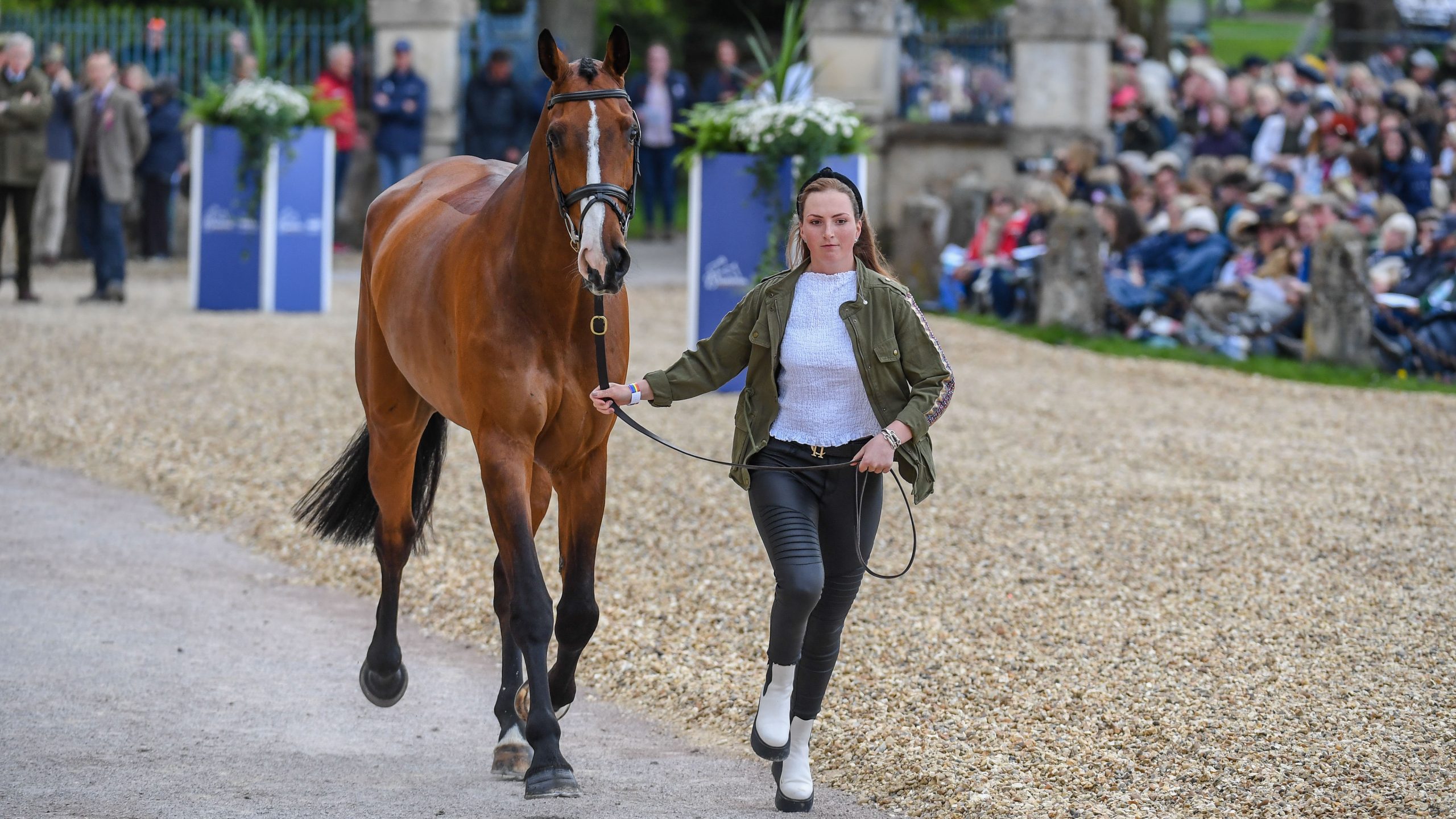 Badminton horse trials trot-up