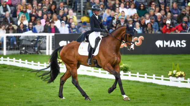 Susie Berry on Ringwood LB at Badminton Horse Trials 2023