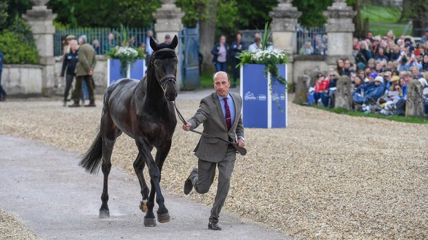 Badminton Horse Trials trot-up