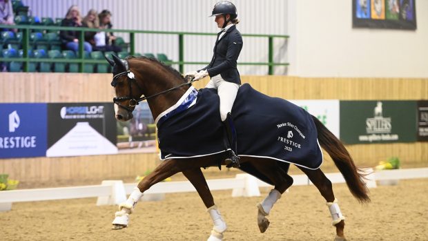 VIRGINIE DE SENNEVILLE - FIRE KRACKA