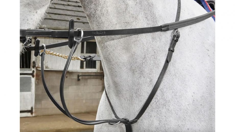 Best martingales for horses and how to fit them Horse & Hound