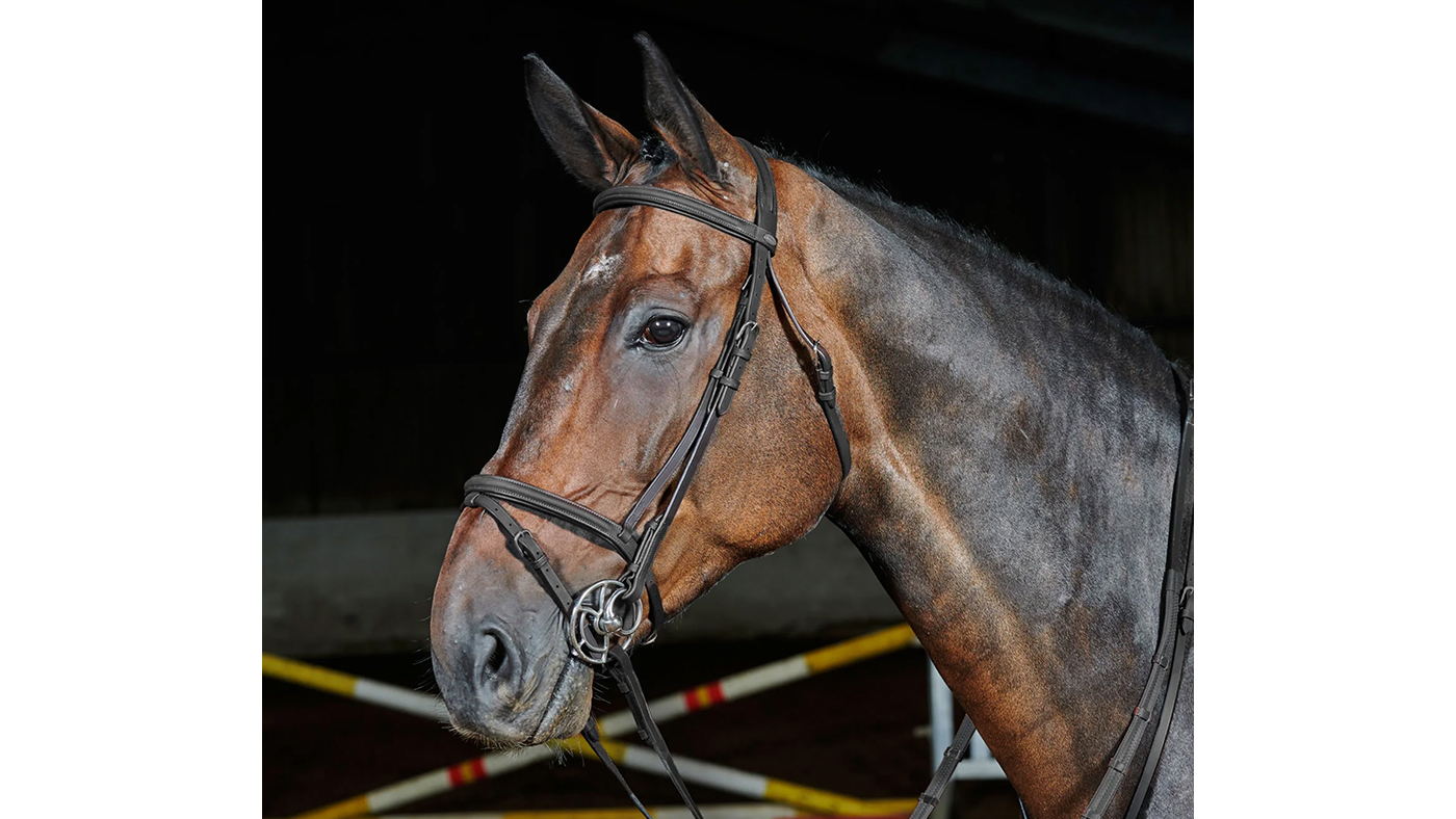 Whitaker Ready To Ride Flash Bridle