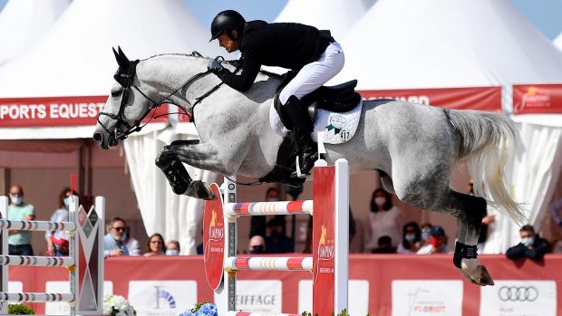 Showjumping stallion El Torreo de Muze (pictured here with Bernardo Alves) has died from colic aged 13