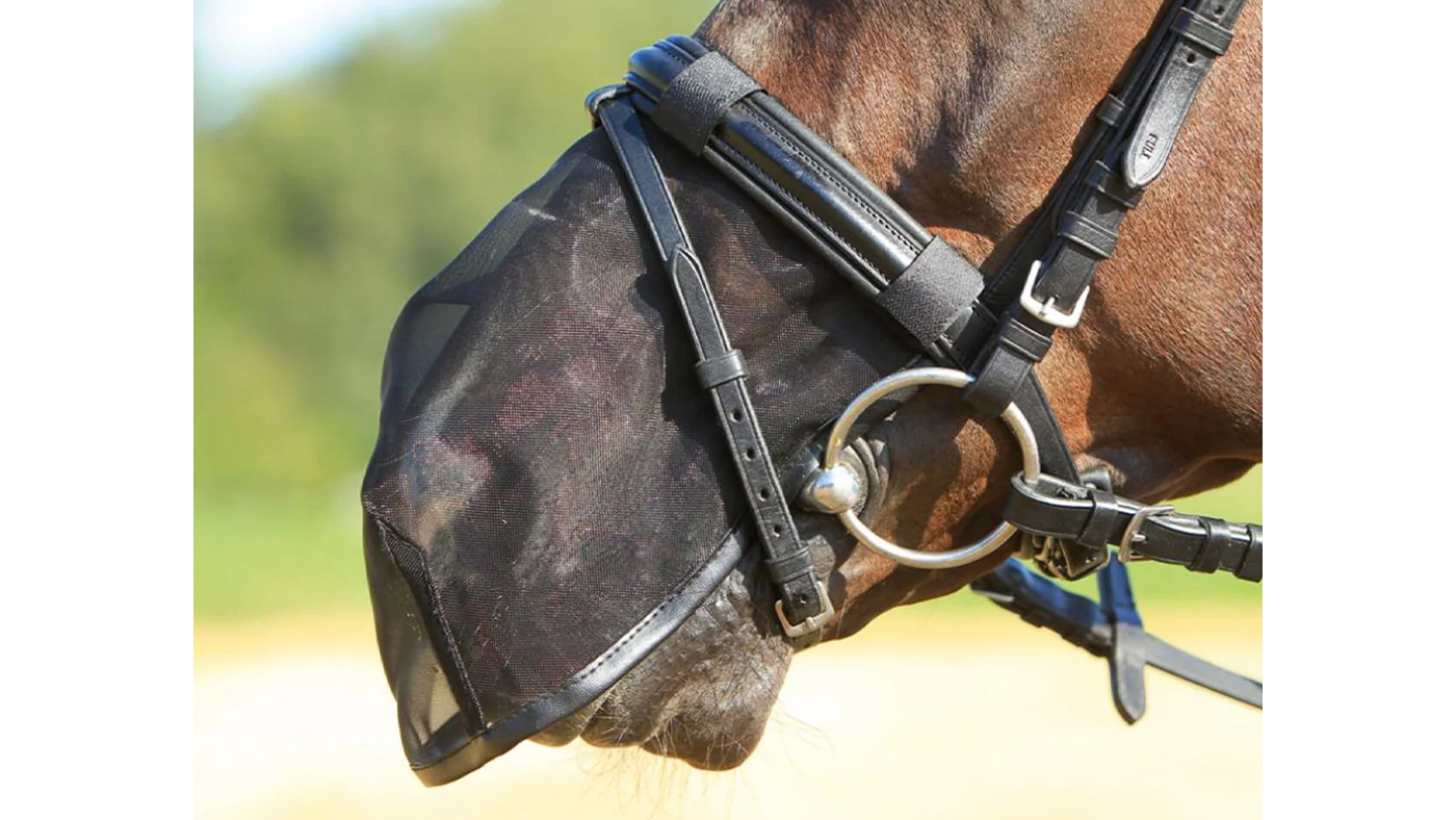 Busse Fly Protector nose net for horses