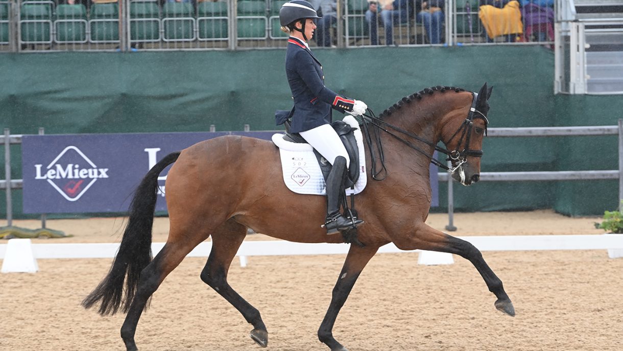 Times Kismet to be ridden by Jessica von Bredow-Werndl - Horse & Hound