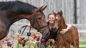 Emma Blundell with Mount St John Freestyle and her foal MSJ Glamourstyle