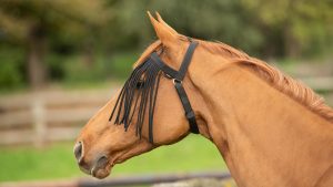 Fouganza Fly Fringe for horses