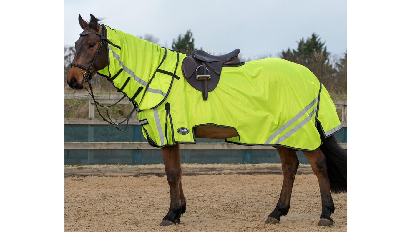 Best rideon fly rugs for protection while hacking Horse & Hound