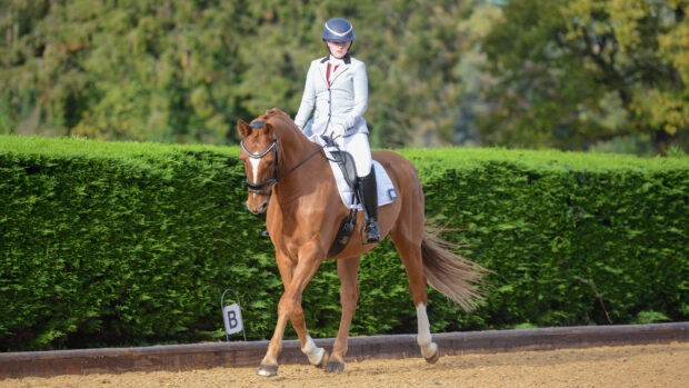 Woman riding dressage test on chestnut horse