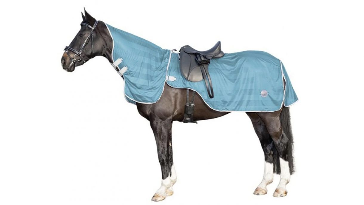 Best rideon fly rugs for protection while hacking Horse & Hound