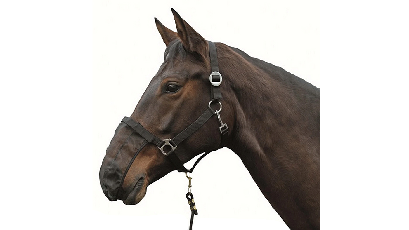 HKM nose net for horses