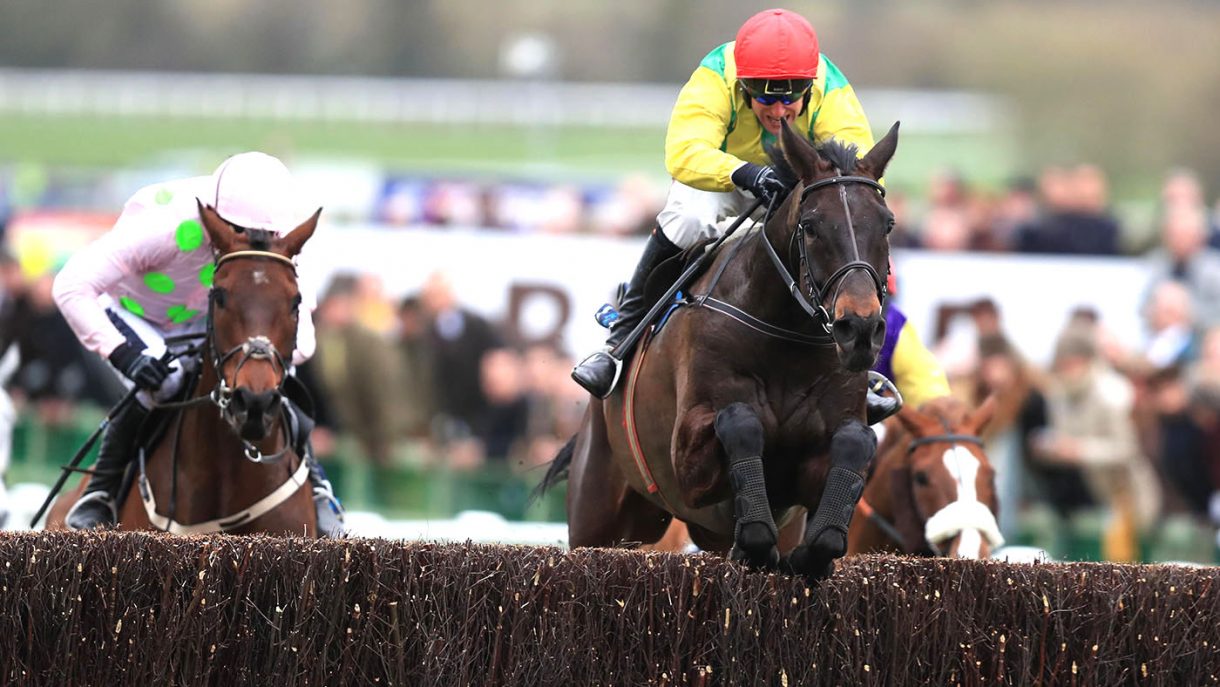 Sizing John find up what this racehorse is up to in retirement