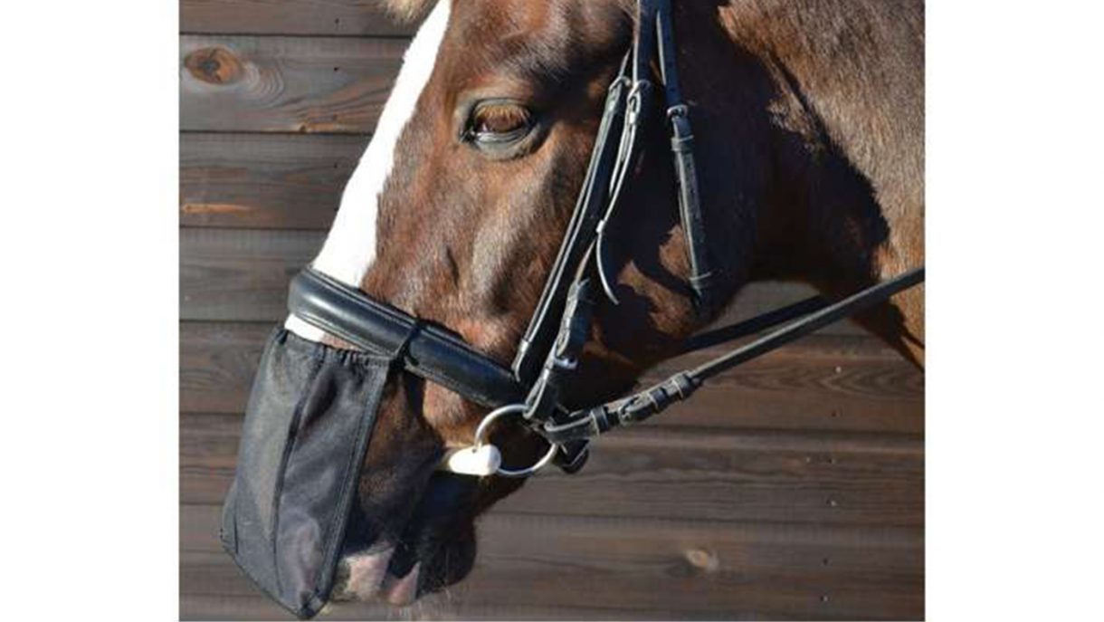 Best nose nets for horses to prevent headshaking Horse & Hound
