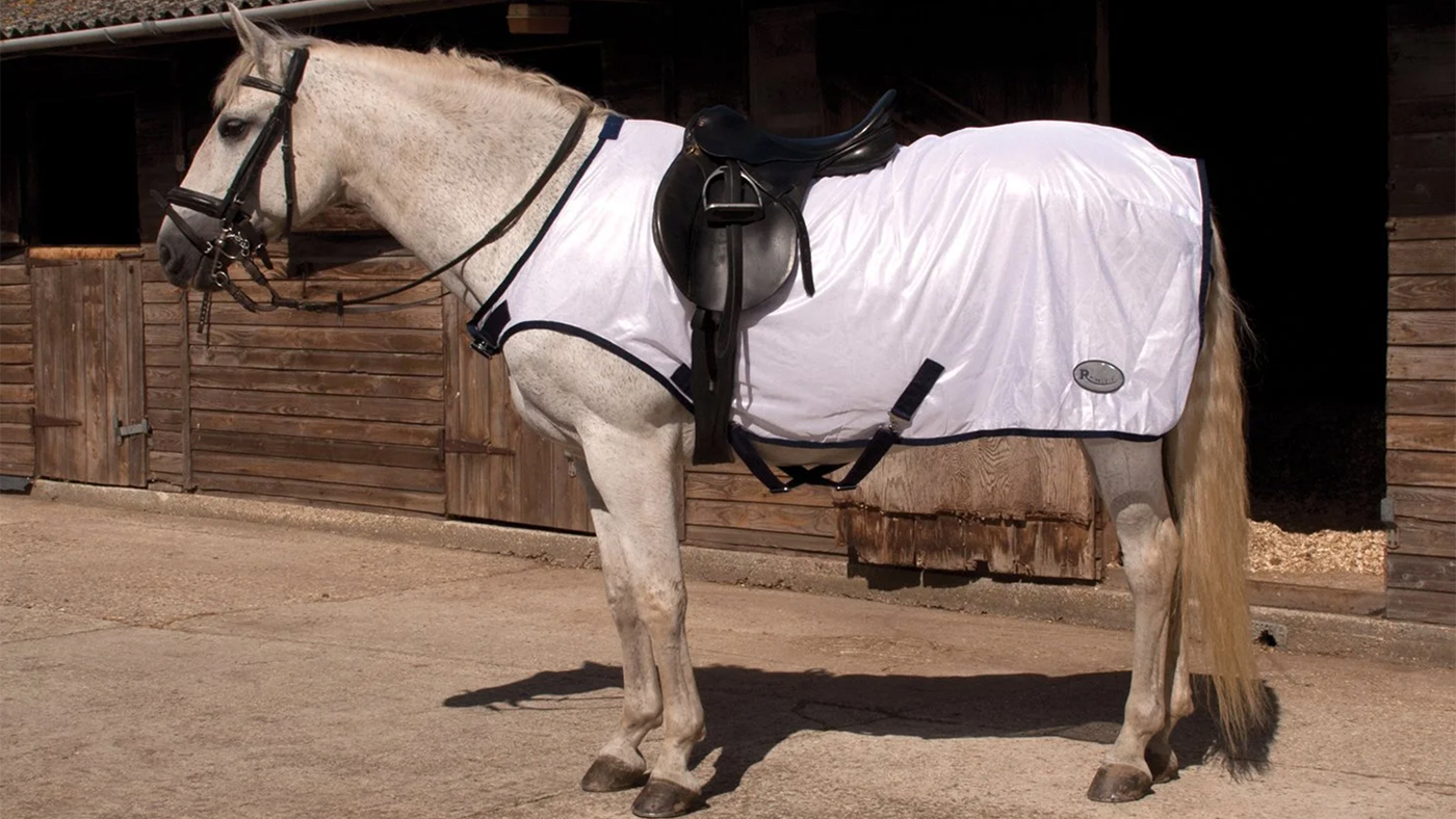 Best rideon fly rugs for protection while hacking Horse & Hound