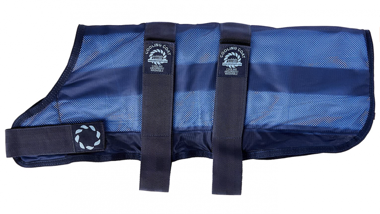 Best dog cooling jackets using evaporation to prevent dogs overheating