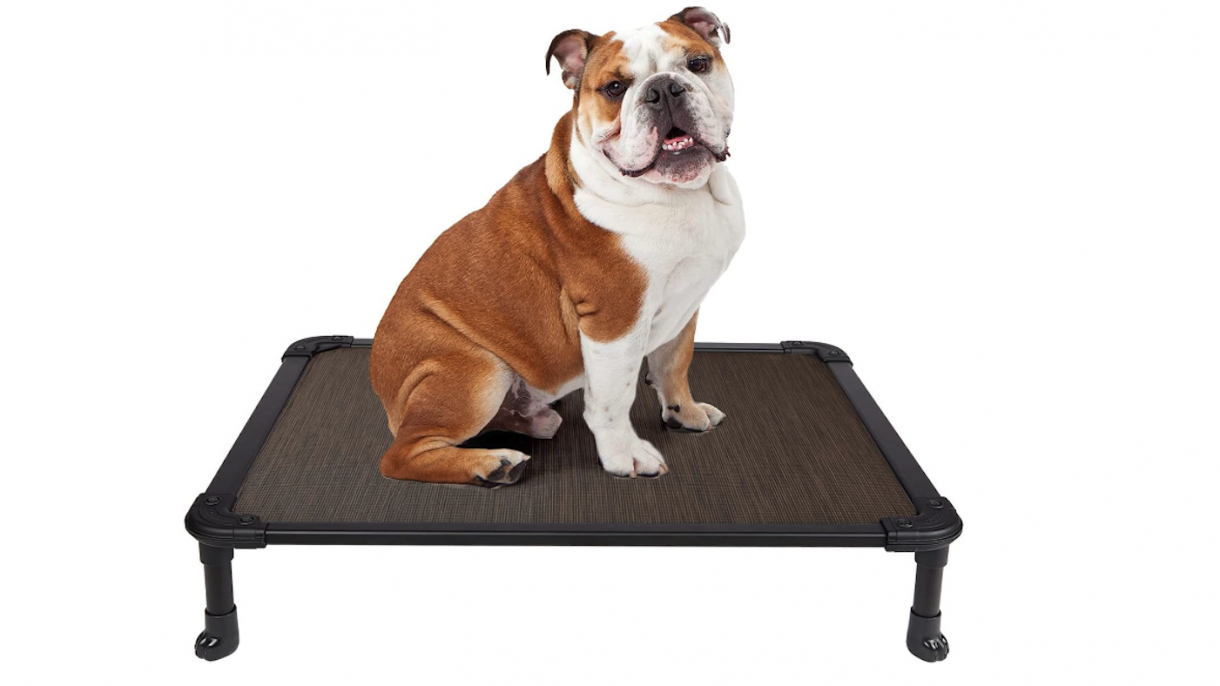 Best cooling dog beds for comfortable sleep in hot weather