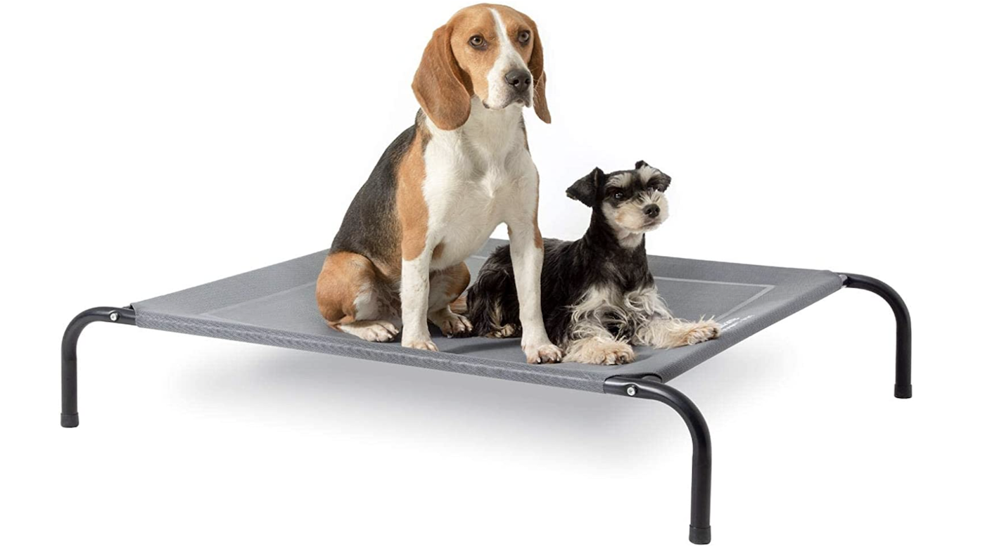 Bedsure raised do bed with beagle and terrier