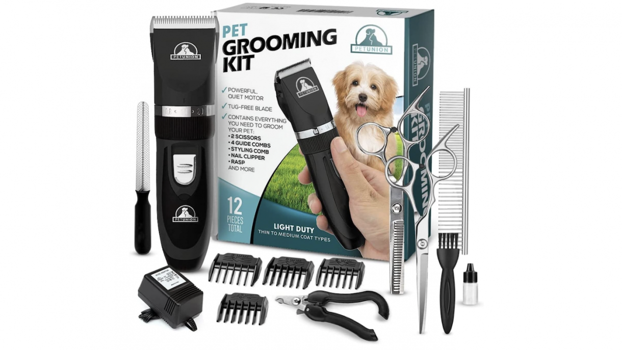Best clippers for dogs achieve the professional look at home