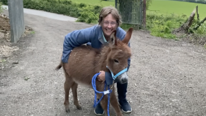 Stolen donkey foal returns home