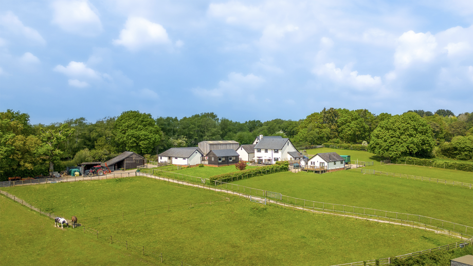 A house with three cottages, 10 stables, outdoor school and direct