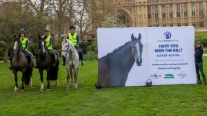 World Horse Welfare led a ride to Parliament in April to press for progress on the Animal Welfare (Kept Animals) Bill, which has now been dropped.