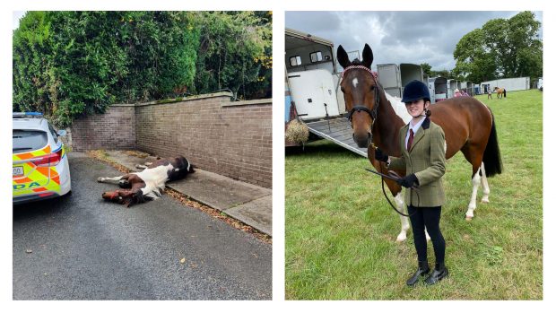 Day by day debrief – Horse & Hound