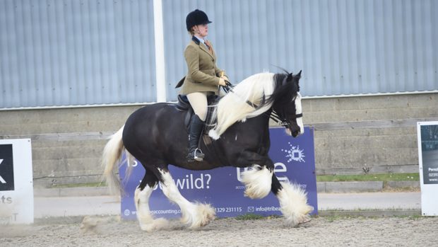Blue Cross Kalice was born at the Bluecross centre in Oxford