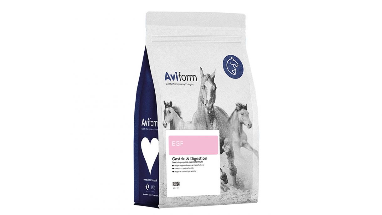 Gastric supplements for horses to help balance pH Horse & Hound