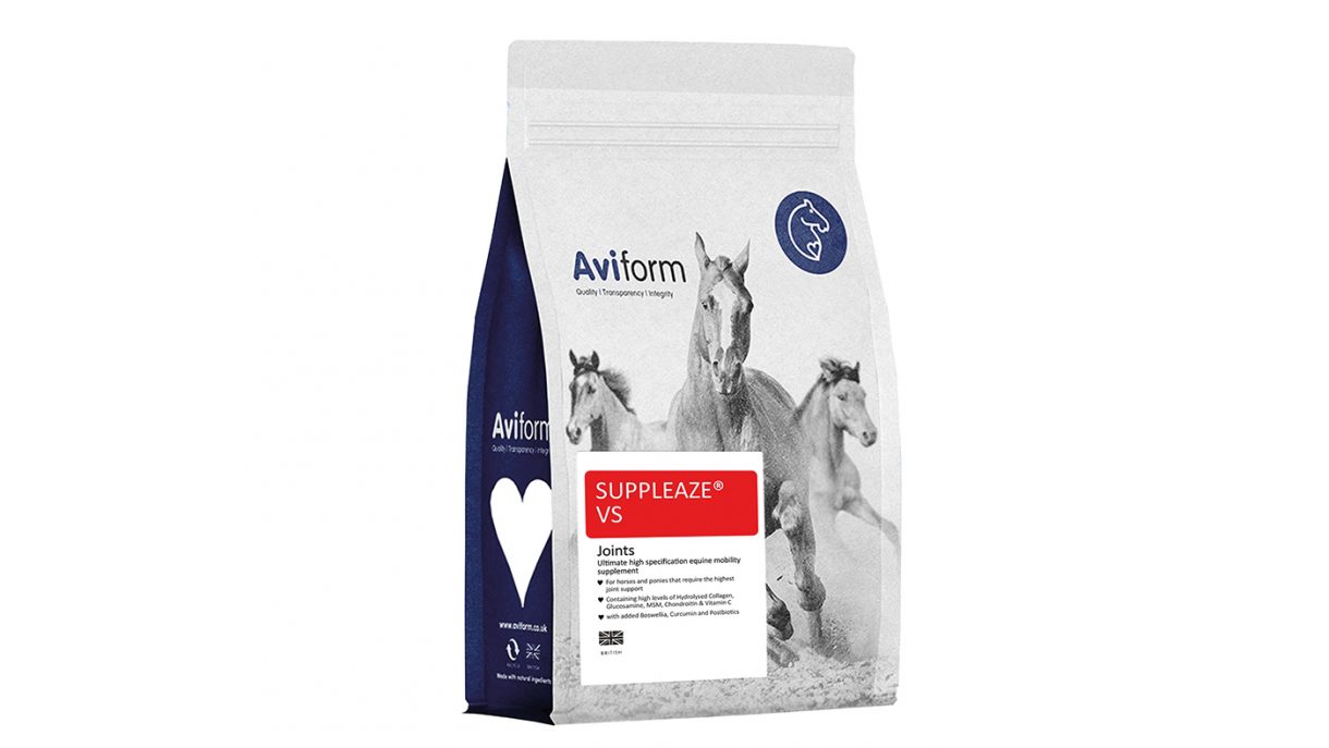 Best joint supplements for older horses Horse & Hound