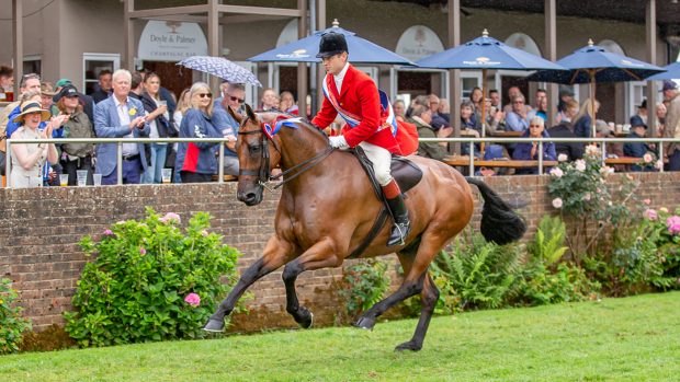 Will Morton and Kilcarna Brilliant are supreme champions at the 2023 RIHS