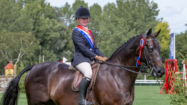 Merrycorner Mister Bui RIHS supreme show hunter pony tricolour at the 2023 Royal International Horse Show (RIHS)