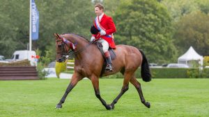 Will Morton and Sarah-Ann Gunn’s winning lightweight Kilcarna Brilliant are 2023 RIHS hunter supreme champions