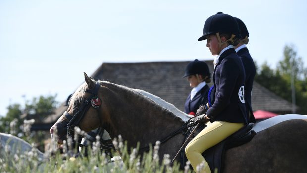 Clare Dew is judging the popular UKPH amateur and young rider classes at the 2023 RIHS